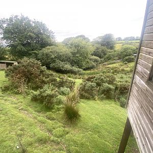 Sitatunga enclosure 020822