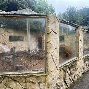 Ratel enclosure 020822
