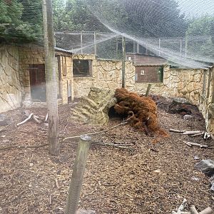 Ratel enclosure 020822