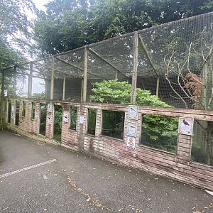 Aviaries 020822