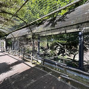 Ring-tailed Lemur Exhibit