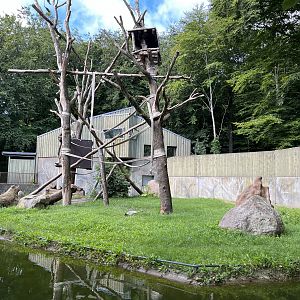 Chimpanzee Exhibit