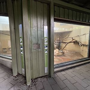 Chimpanzee Indoor Exhibit