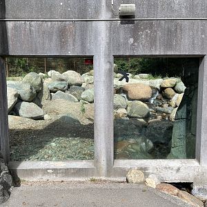 Polar Bear Exhibit