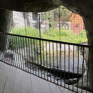 Sumatran Tiger Exhibit