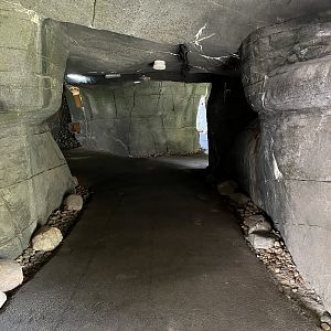 Sumatran Tiger Exhibit - tunnel