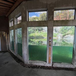 Sumatran Tiger Exhibit