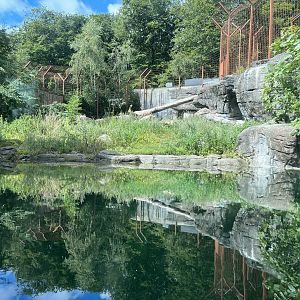 Sumatran Tiger Exhibit
