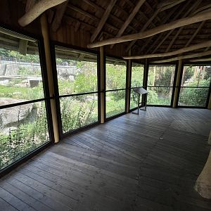 Asiatic Lion Exhibit