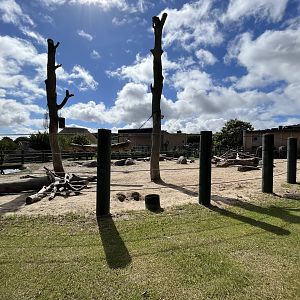 African Elephant Exhibit