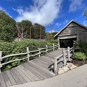 Asiatic Lion Exhibit - viewing hut