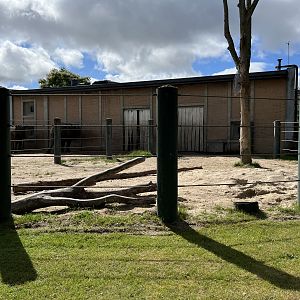 African Elephant Exhibit