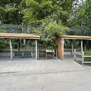 African Wild Dog Exhibit