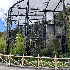 Bornean Orangutan Exhibit - New in 2022