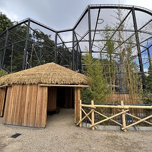 Bornean Orangutan Exhibit - New in 2022