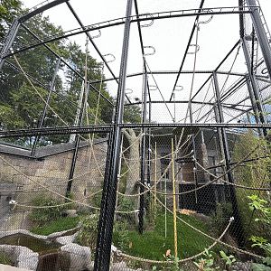 Bornean Orangutan Exhibit - New in 2022