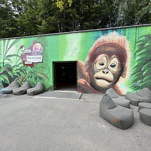 Bornean Orangutan House