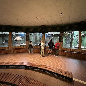 Bornean Orangutan House