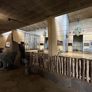 African Elephant House