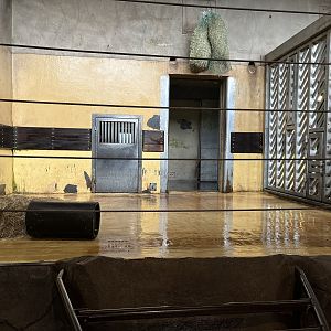 African Elephant House