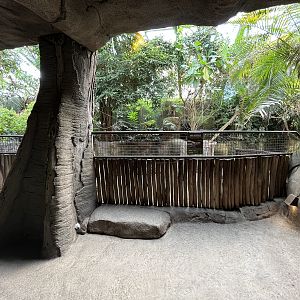 Pygmy Hippo House