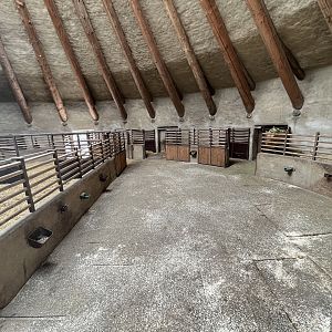 African Antelope House