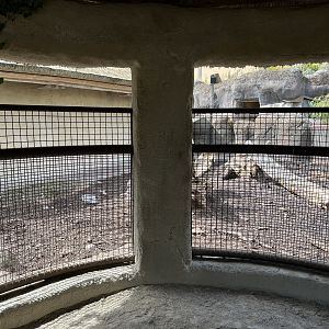 Warthog Exhibit