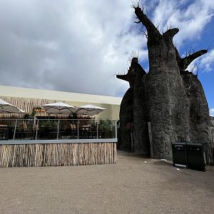 Baobab Restaurant - just like Givskud Zoo!