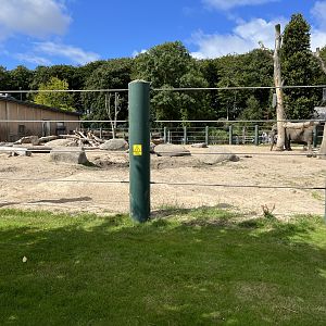 African Elephant Exhibit