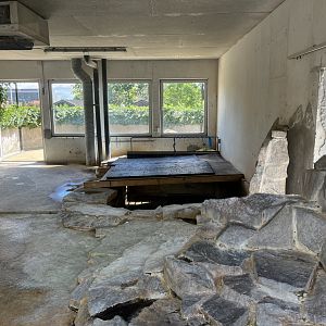 Humboldt Penguin Indoor Exhibit