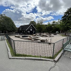 Domestic Goat Exhibit