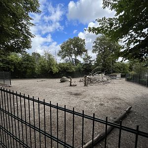 Lowland Tapir/Vicuña Exhibit