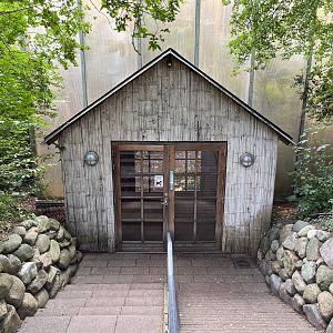 South American House