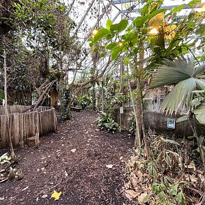 South American House