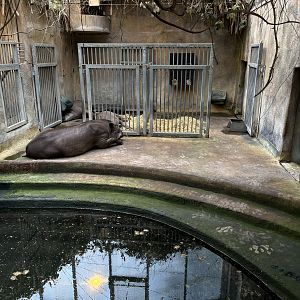 South American House