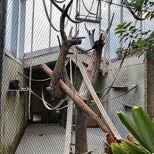 South American House