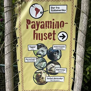 South American House - 5 species