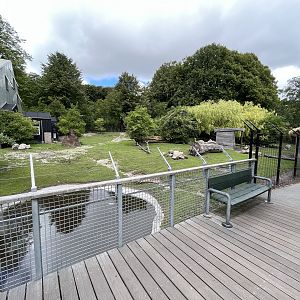 South American Pampas