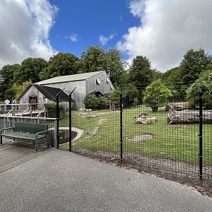 South American Pampas