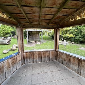 South American Pampas