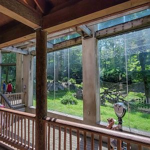 Aug. 2022 - Africa - Kitera Forest - Chimpanzee Viewing