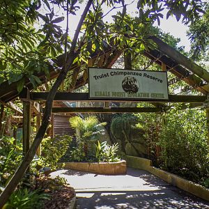 Aug. 2022 - Africa - Kitera Forest - Chimpanzee Main Viewing Entrance