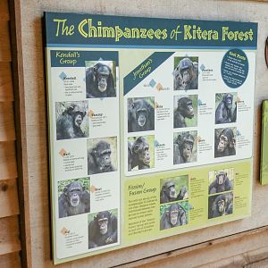 Aug. 2022 - Africa - Kitera Forest - Chimpanzee ID Sign