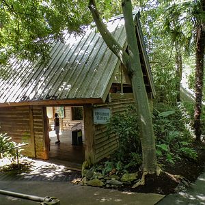 Aug. 2022 - Africa - Kitera Forest - Chimpanzee Research Station Viewing