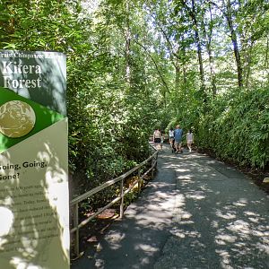 Aug. 2022 - Africa - Kitera Forest Entrance