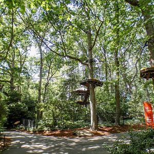 Aug. 2022 - Africa - Air Hike