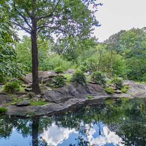 Aug. 2022 - Africa - Lemur Island