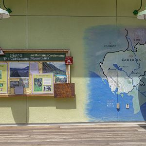 Elephants of Asia: Cambodian Pavilion