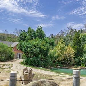 Elephants of Asia: Cambodian Pavilion