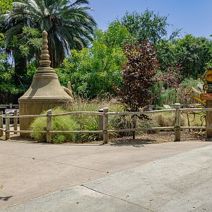 Elephants of Asia: Elephants of China view